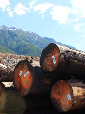 TRAPA Logs to be exported in Terrace