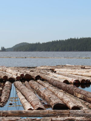 TRAPA Logs to be exported in bag