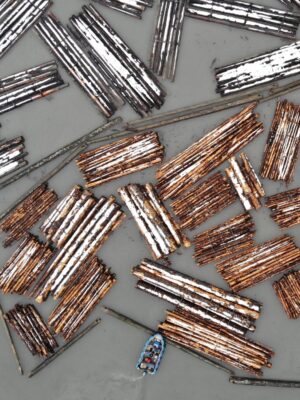 TRAPA Logs to be exported in bag in snow