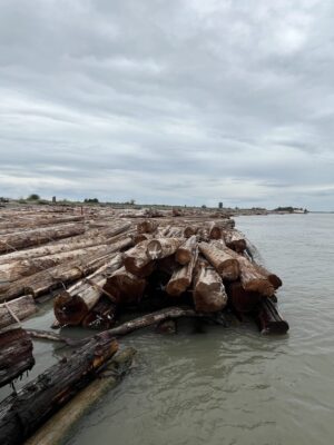 TRAPA Logs to be exported