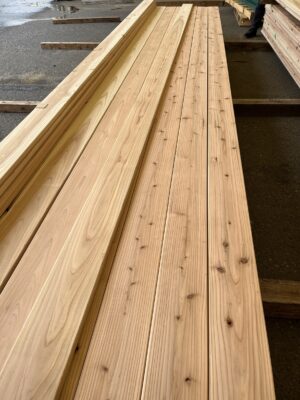 TRAPA Imported Sugi Lumber