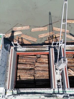 TRAPA Logs to be exported via ship