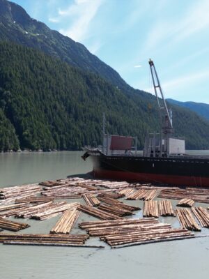TRAPA Logs to be exported via ship