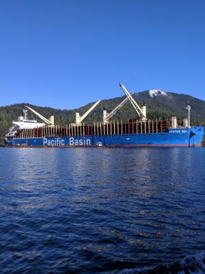 TRAPA Export Logs Loaded onto Vessel